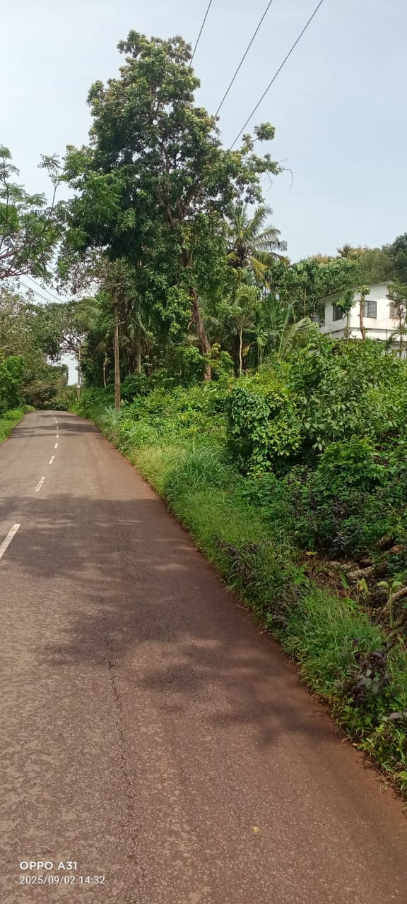 Plot for Sale in Mathamangalam, Kannur